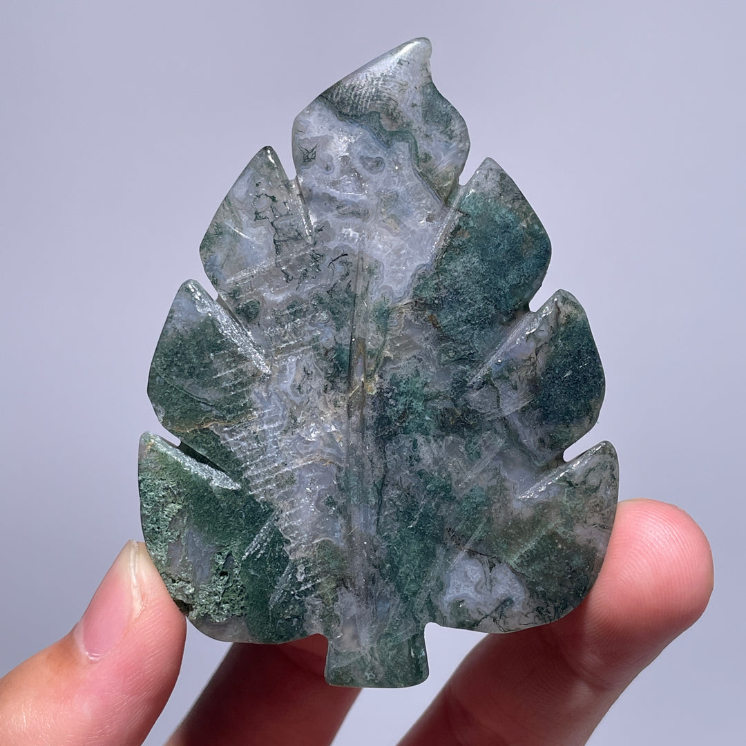 Moss Agate Tree Leaf