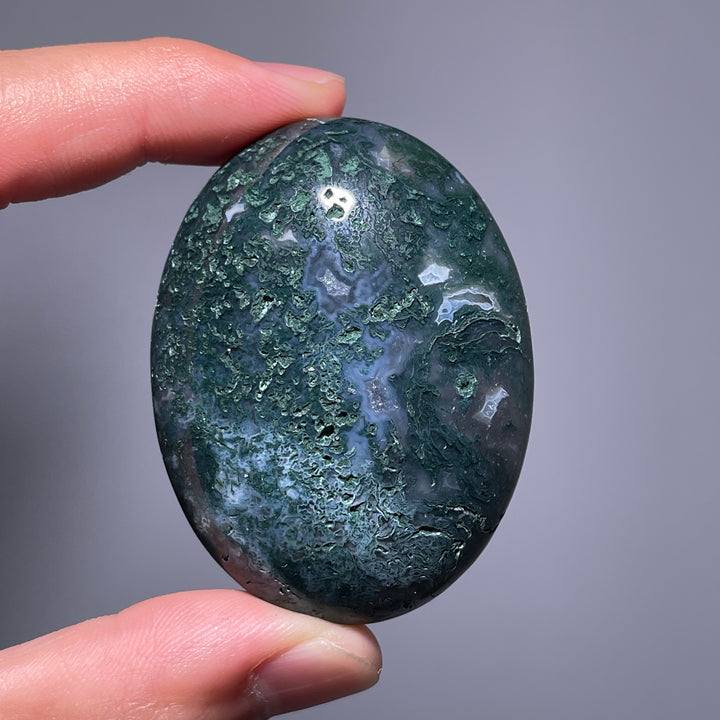 Moss Agate Palm Stone