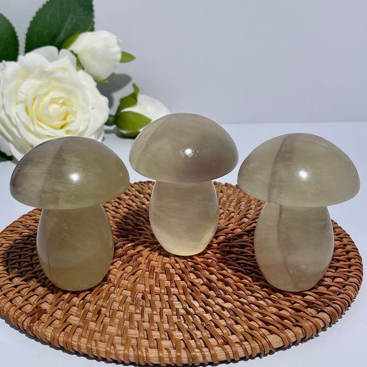 Caramel Mica With Fluorite Mushroom