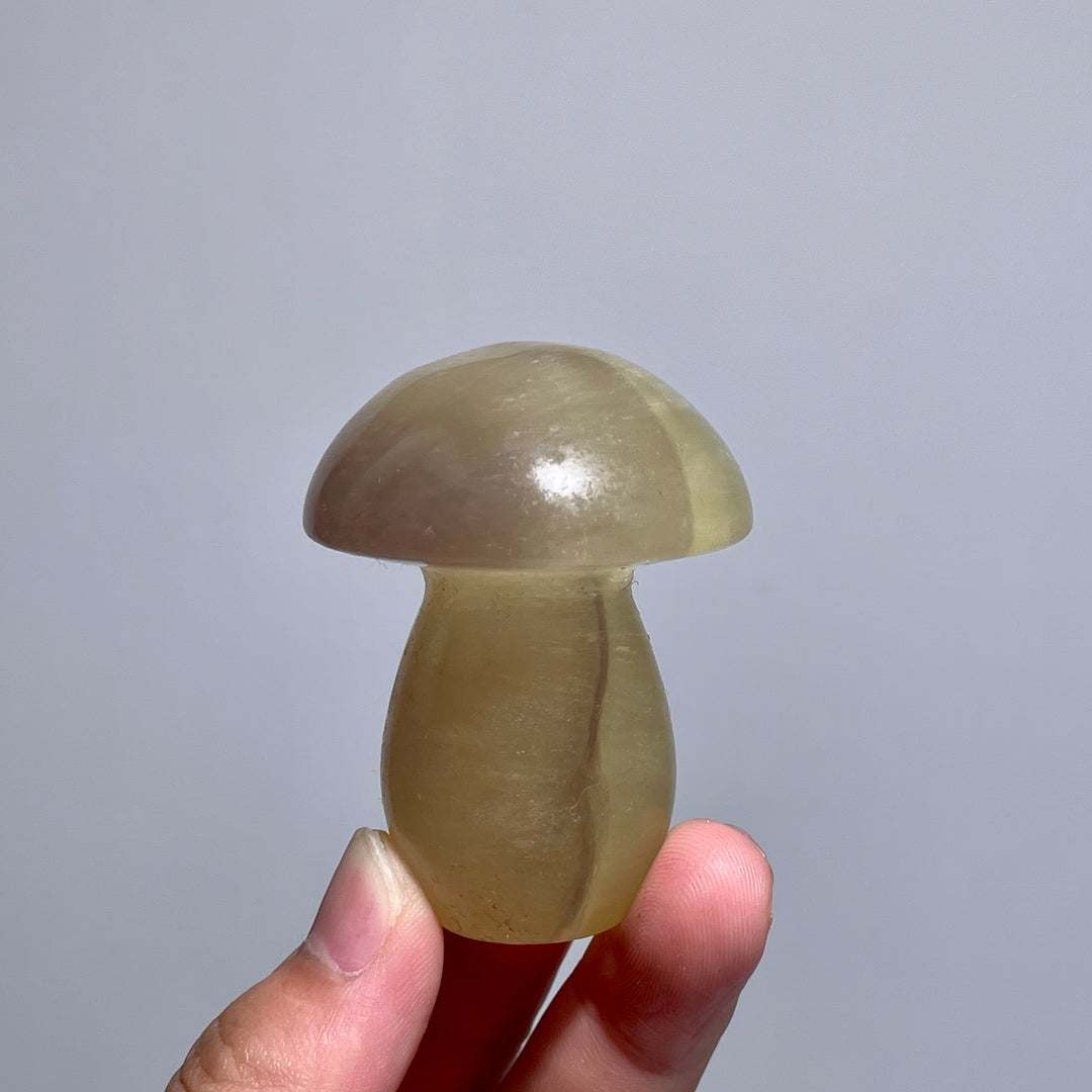 Caramel Mica With Fluorite Mushroom
