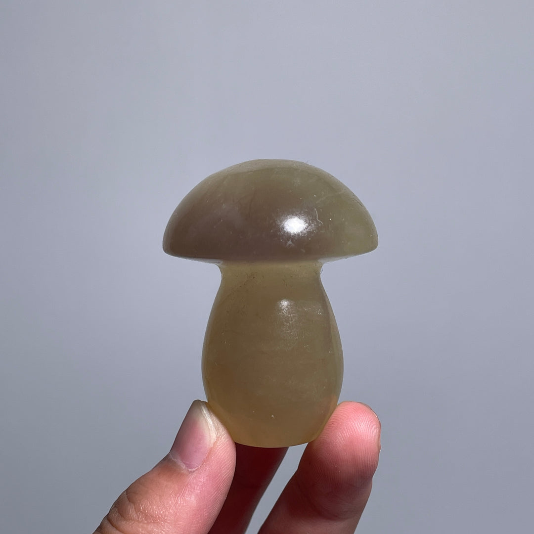 Caramel Mica With Fluorite Mushroom