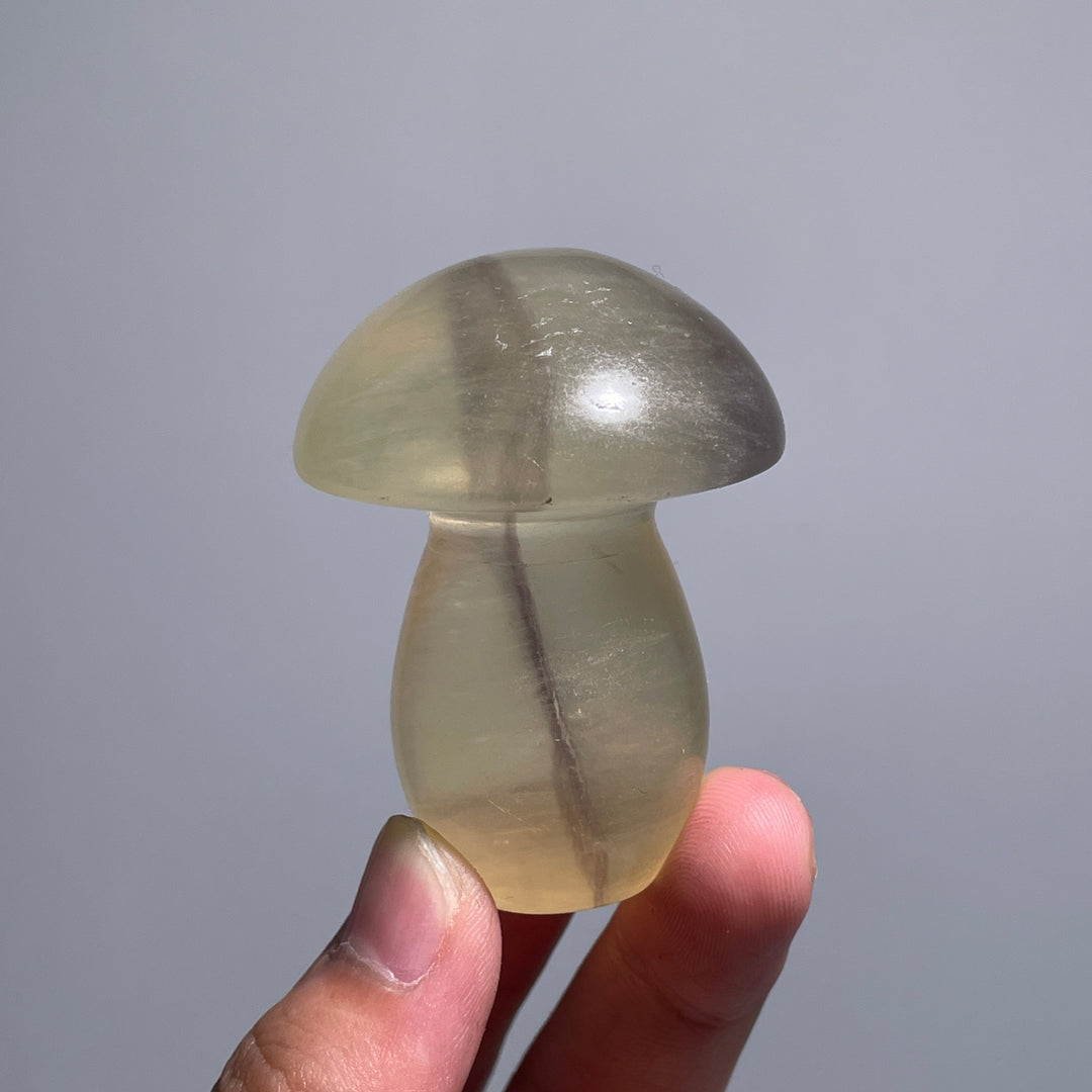 Caramel Mica With Fluorite Mushroom