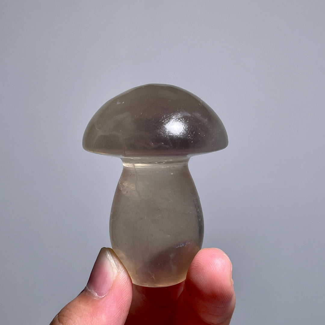 Caramel Mica With Fluorite Mushroom