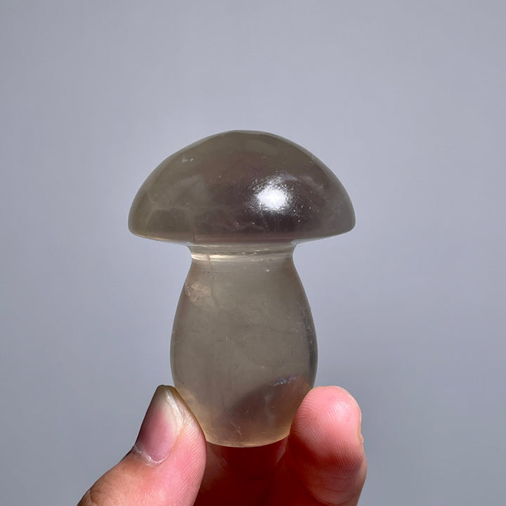 Caramel Mica With Fluorite Mushroom