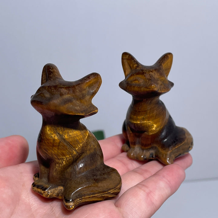 Tiger Eye Tailed Fox