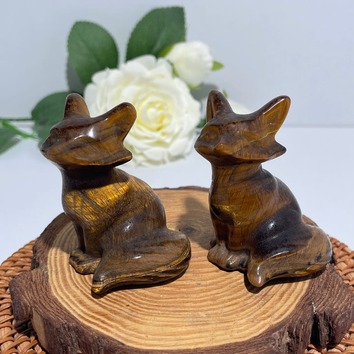 Tiger Eye Tailed Fox