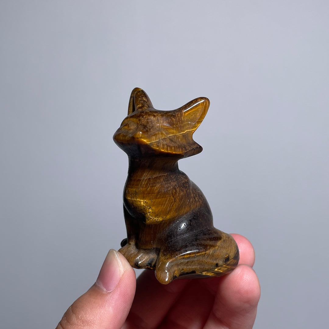 Tiger Eye Tailed Fox