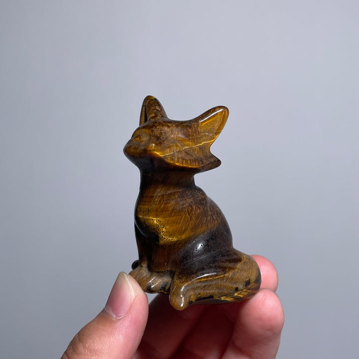 Tiger Eye Tailed Fox