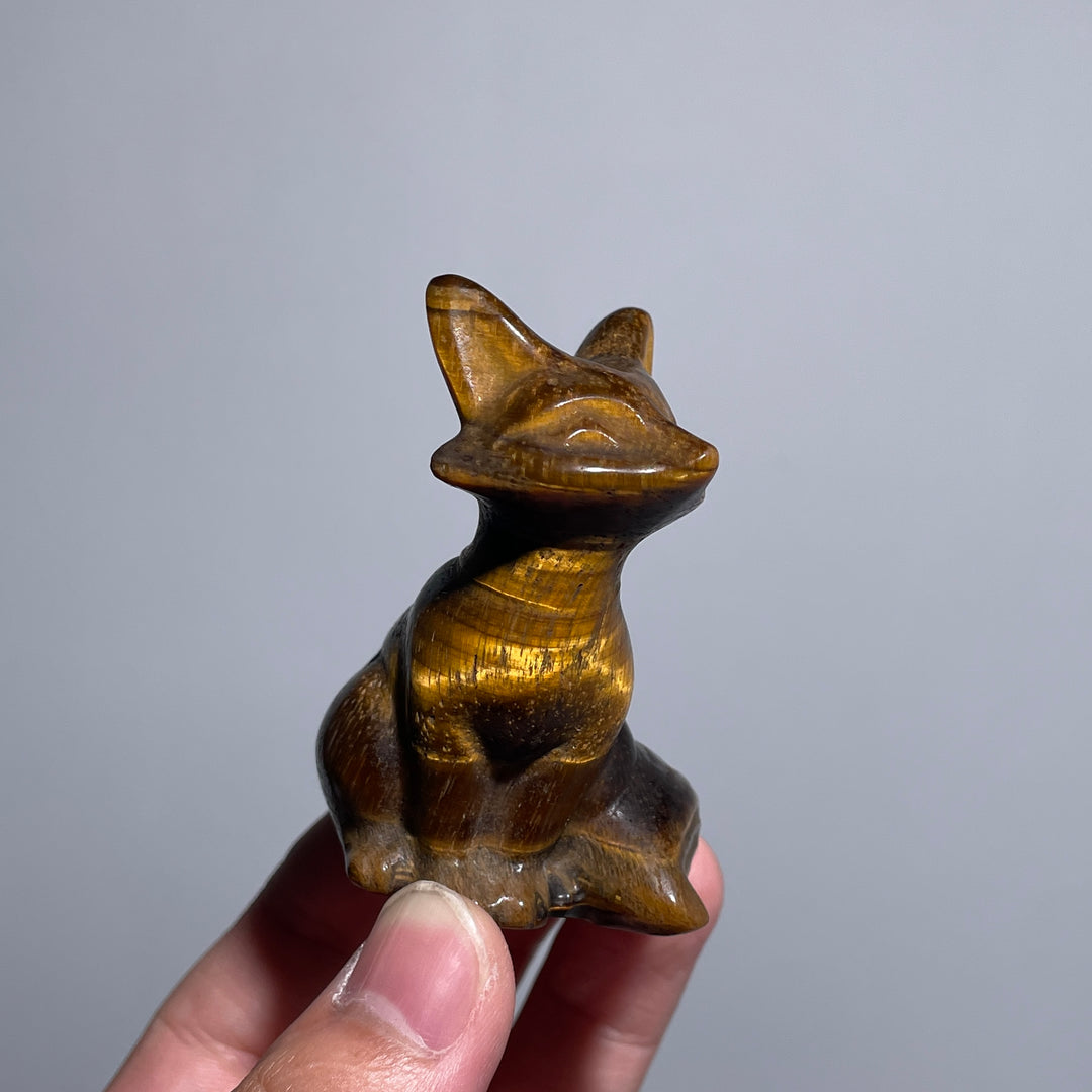 Tiger Eye Tailed Fox