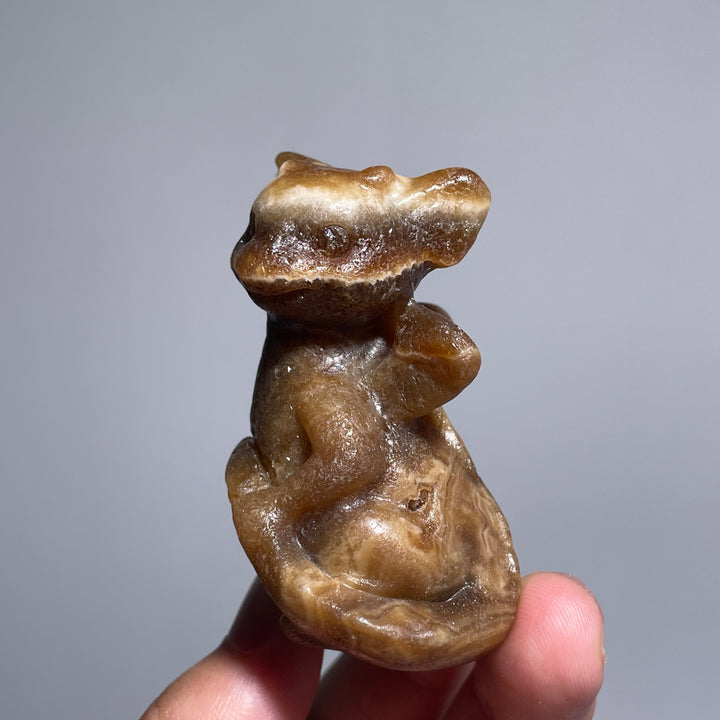 Amber Calcite Dragon