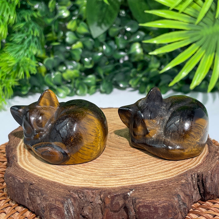 Tiger Eye Sleeping Cat