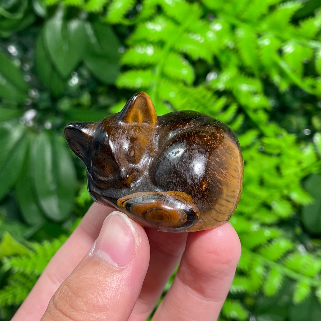 Tiger Eye Sleeping Cat
