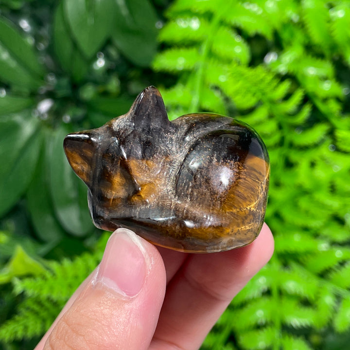 Tiger Eye Sleeping Cat