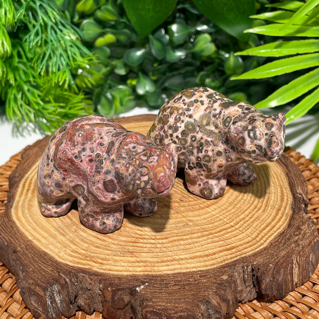 Leopard Skin Jasper Bear