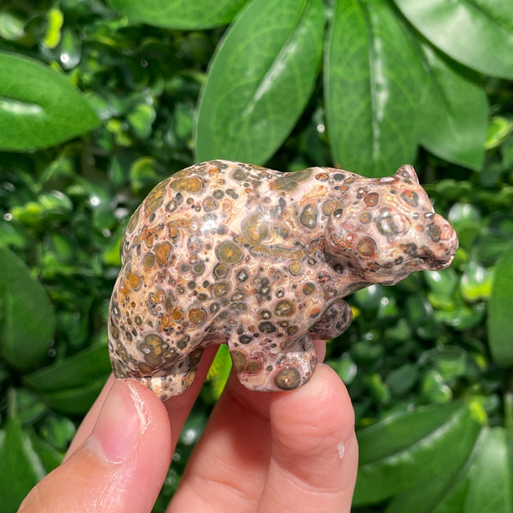 Leopard Skin Jasper Bear