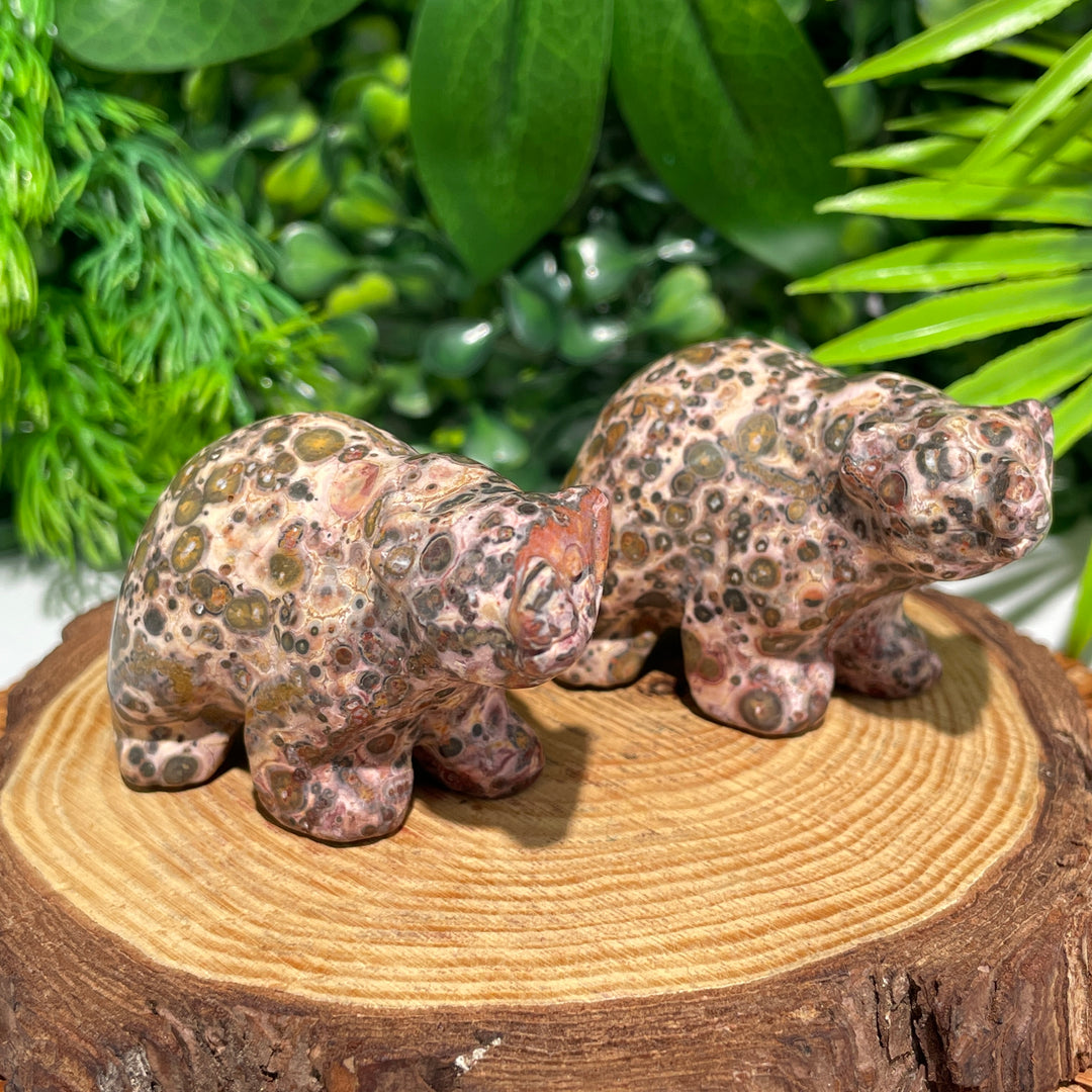 Leopard Skin Jasper Bear