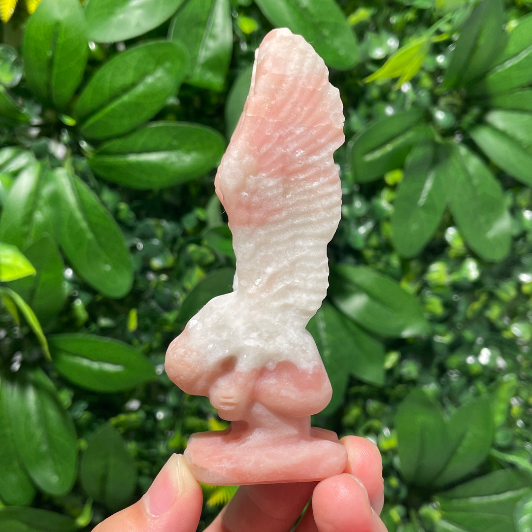 Demon Angel Wings