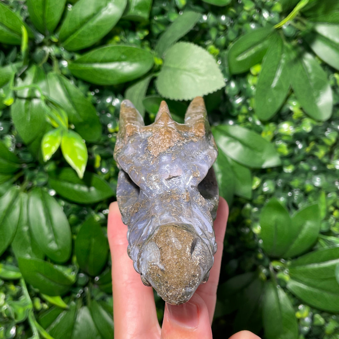 Moss Agate Dragon Skull