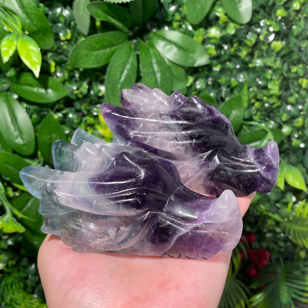 Fluorite Dragon Skull