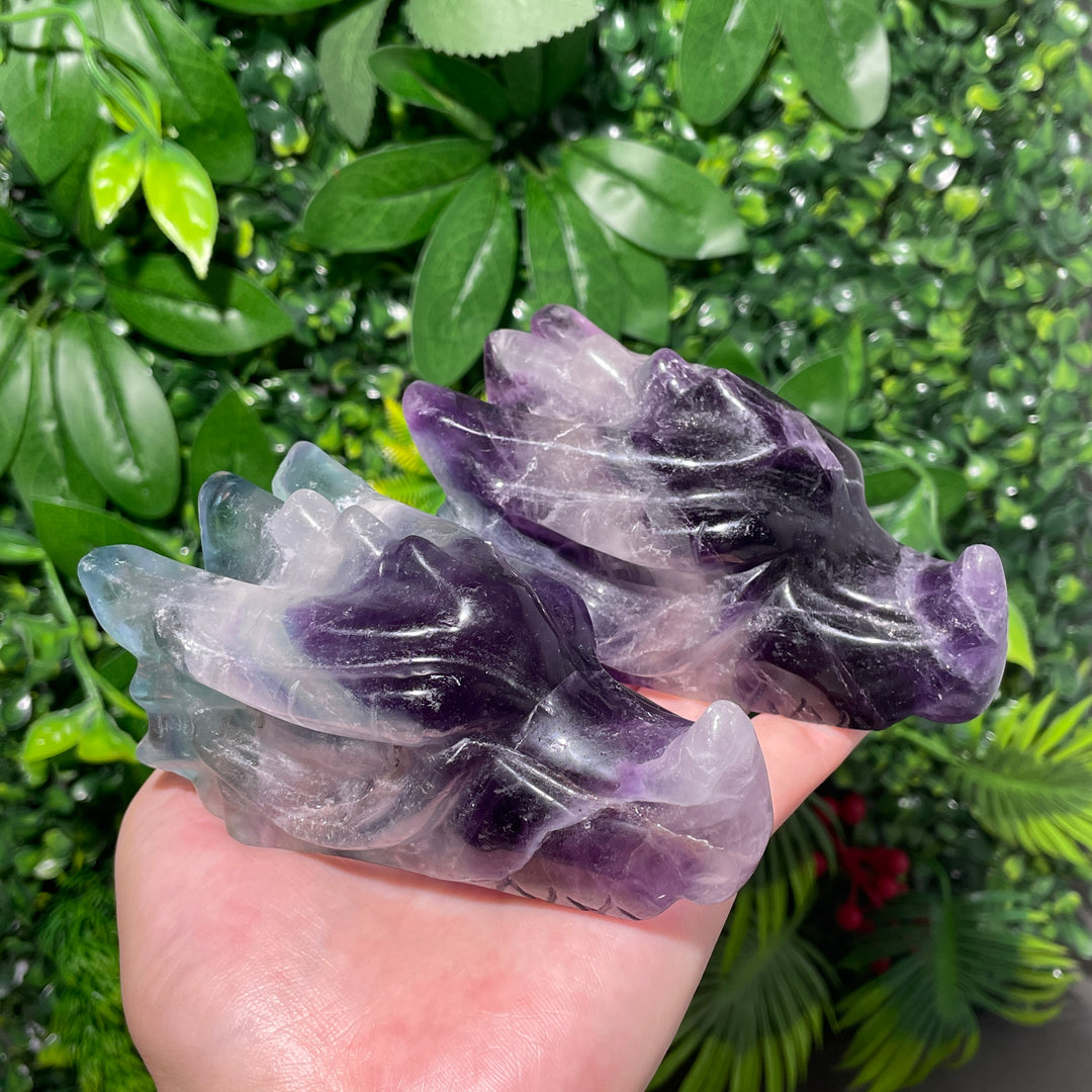 Fluorite Dragon Skull