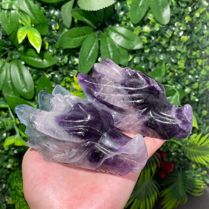 Fluorite Dragon Skull
