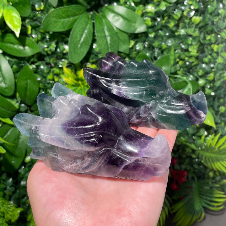 Fluorite Dragon Skull