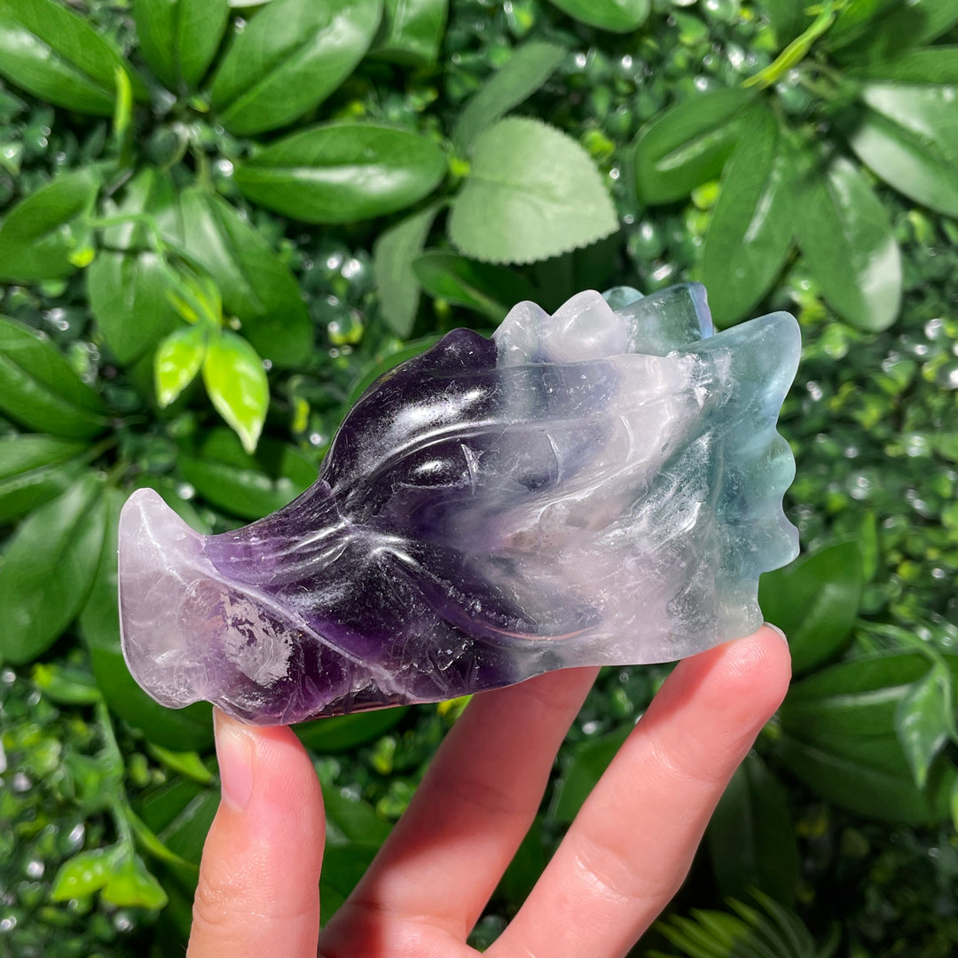 Fluorite Dragon Skull