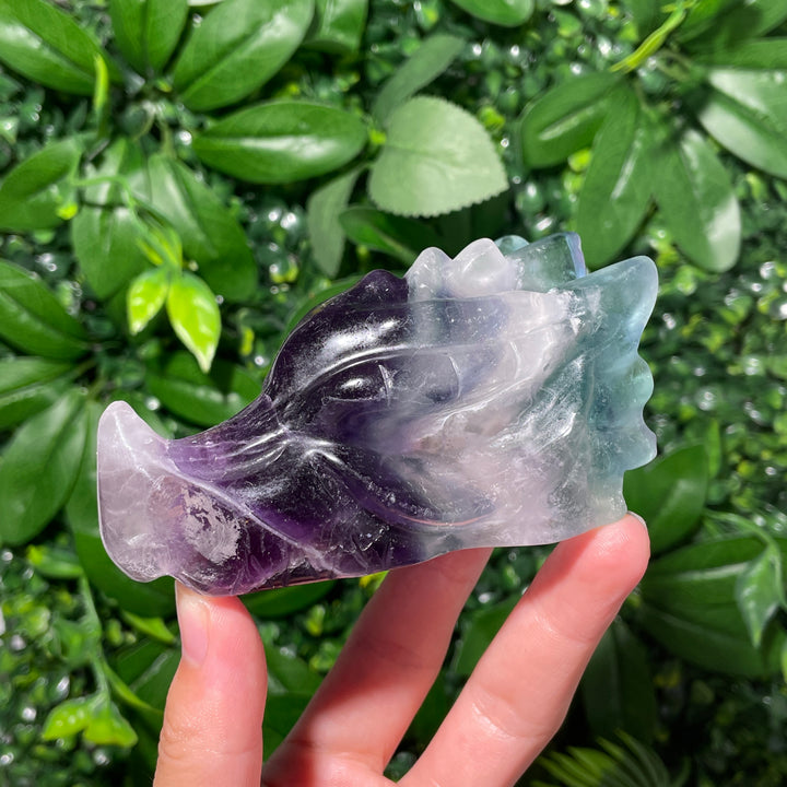 Fluorite Dragon Skull