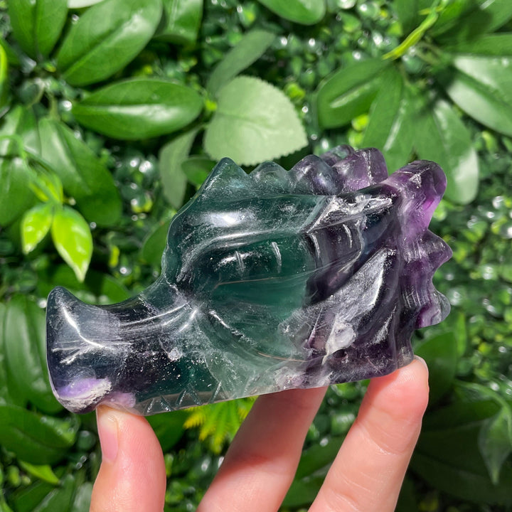 Fluorite Dragon Skull