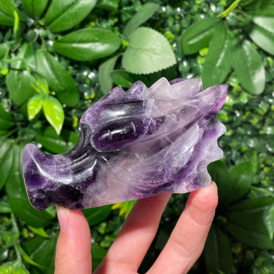 Fluorite Dragon Skull