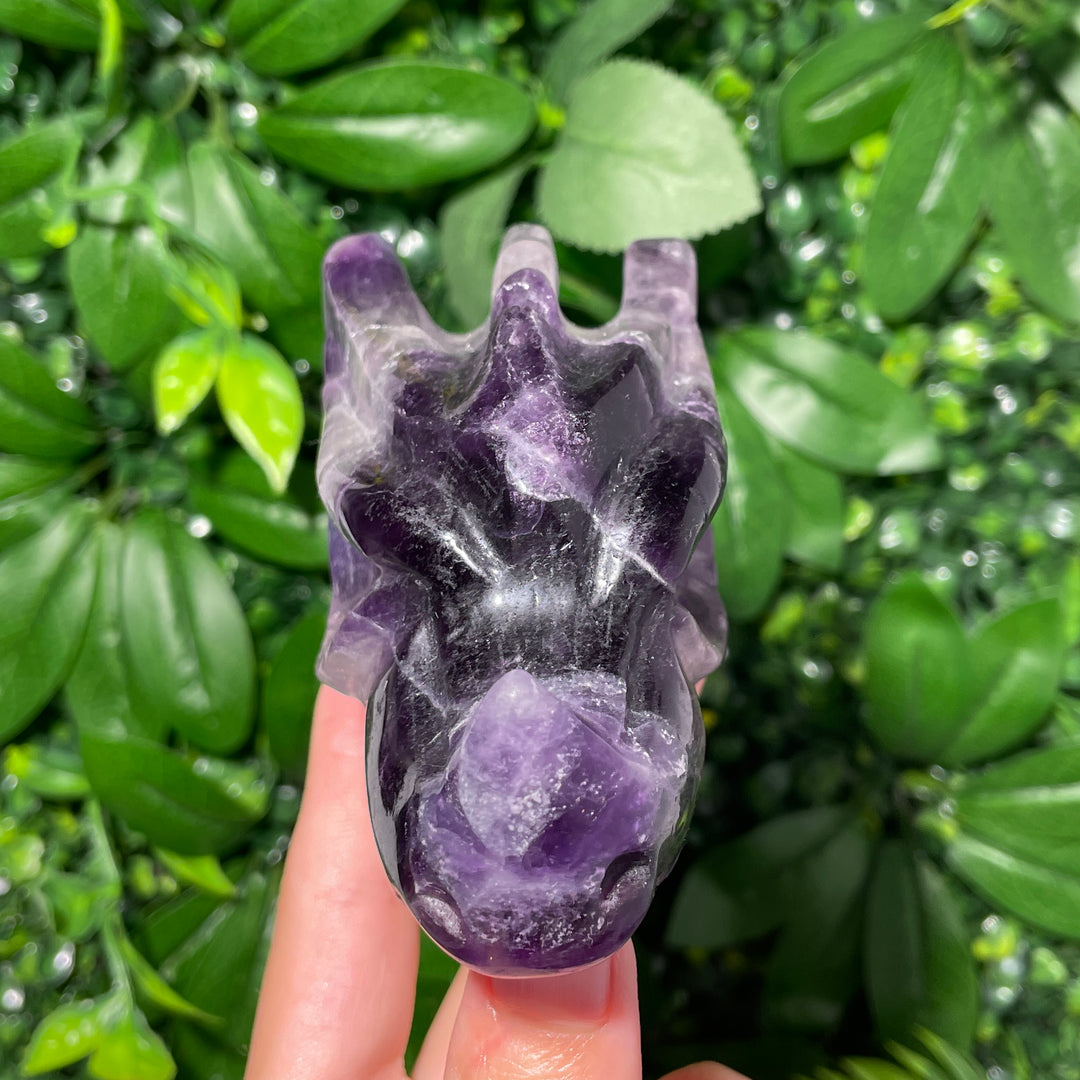 Fluorite Dragon Skull