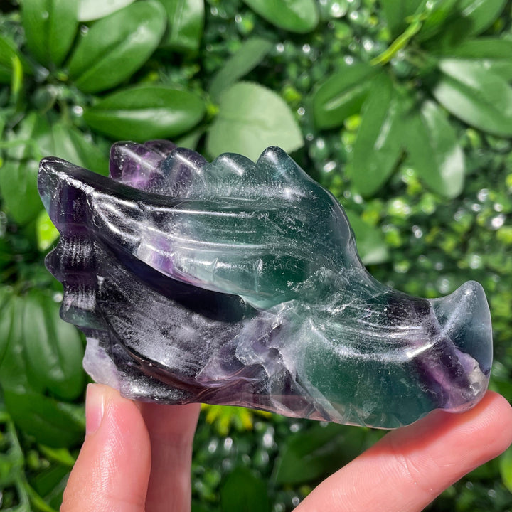Fluorite Dragon Skull