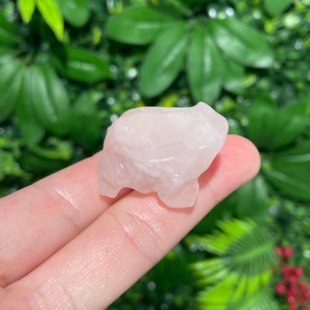 Crystal Carving Frog