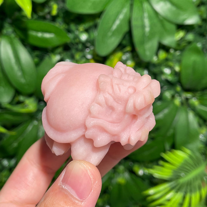 Pink Opal Turtle