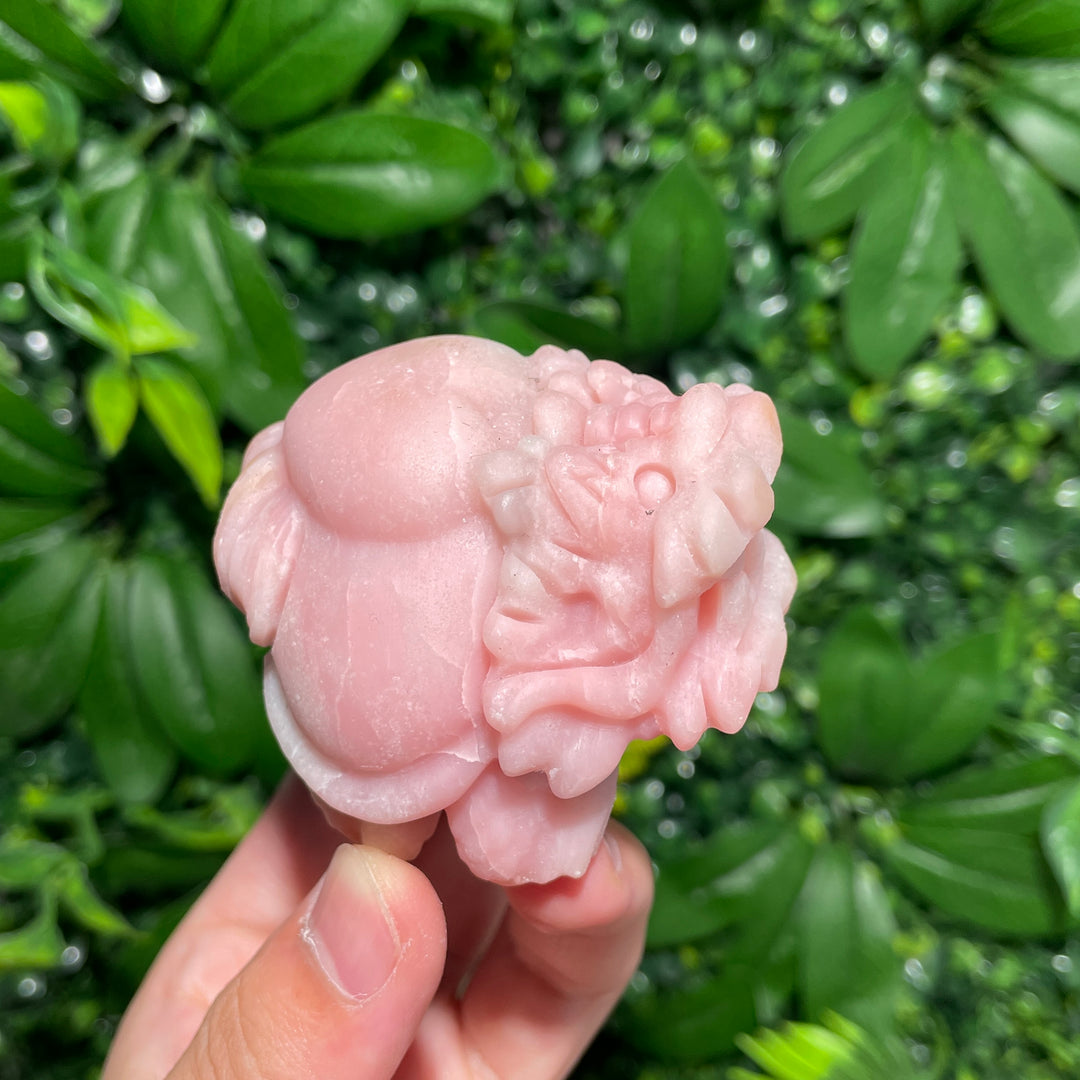 Pink Opal Turtle