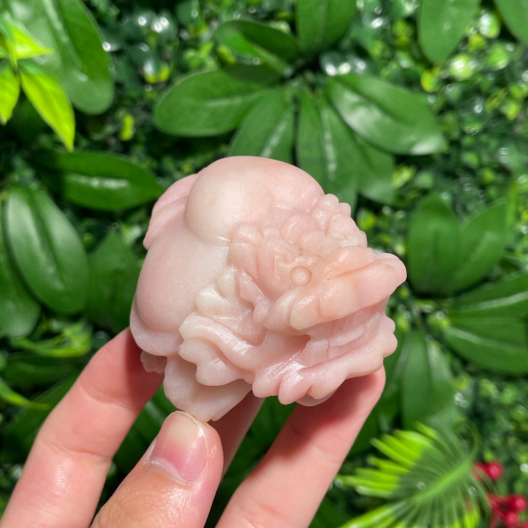 Pink Opal Turtle