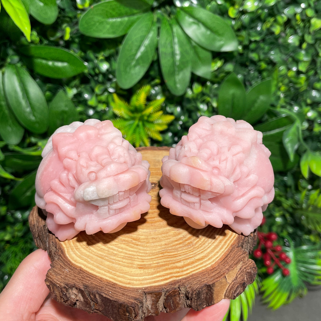 Pink Opal Turtle