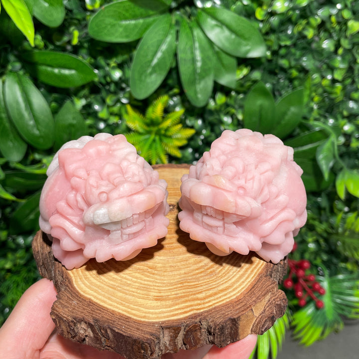 Pink Opal Turtle