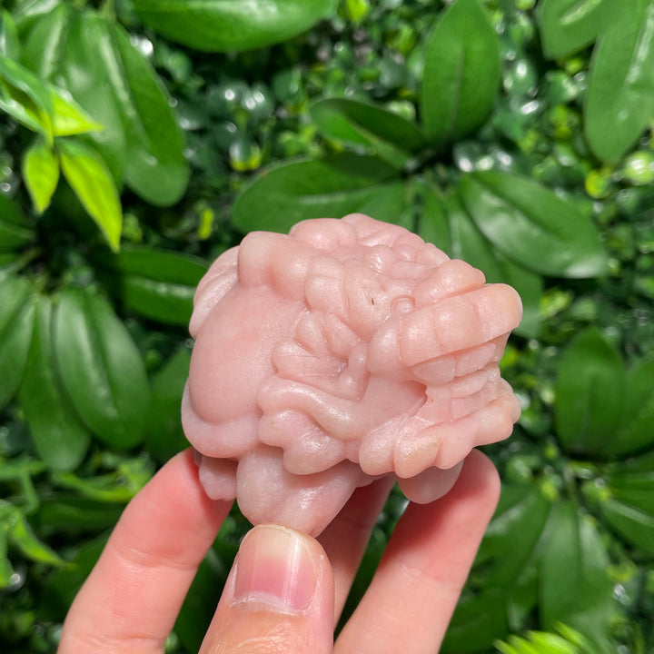 Pink Opal Turtle