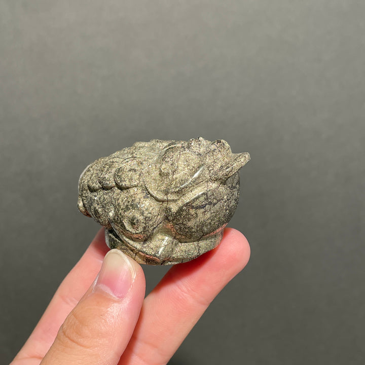 Pyrite Golden Toad