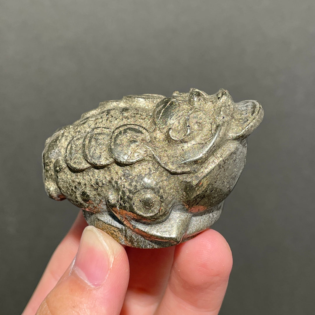 Pyrite Golden Toad
