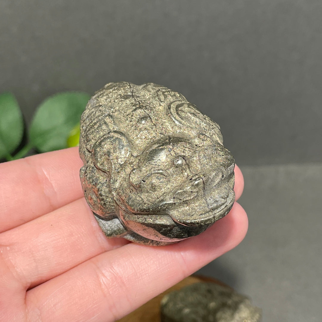 Pyrite Golden Toad