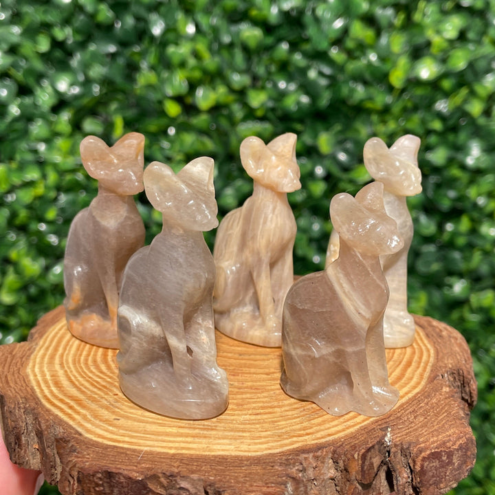 Moonstone Sphynx Cat