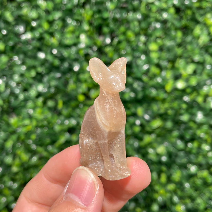 Moonstone Sphynx Cat