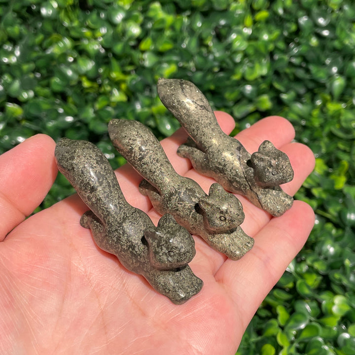 Pyrite Squirrel