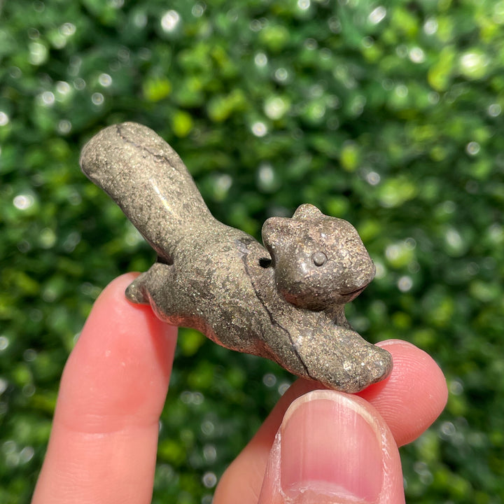 Pyrite Squirrel
