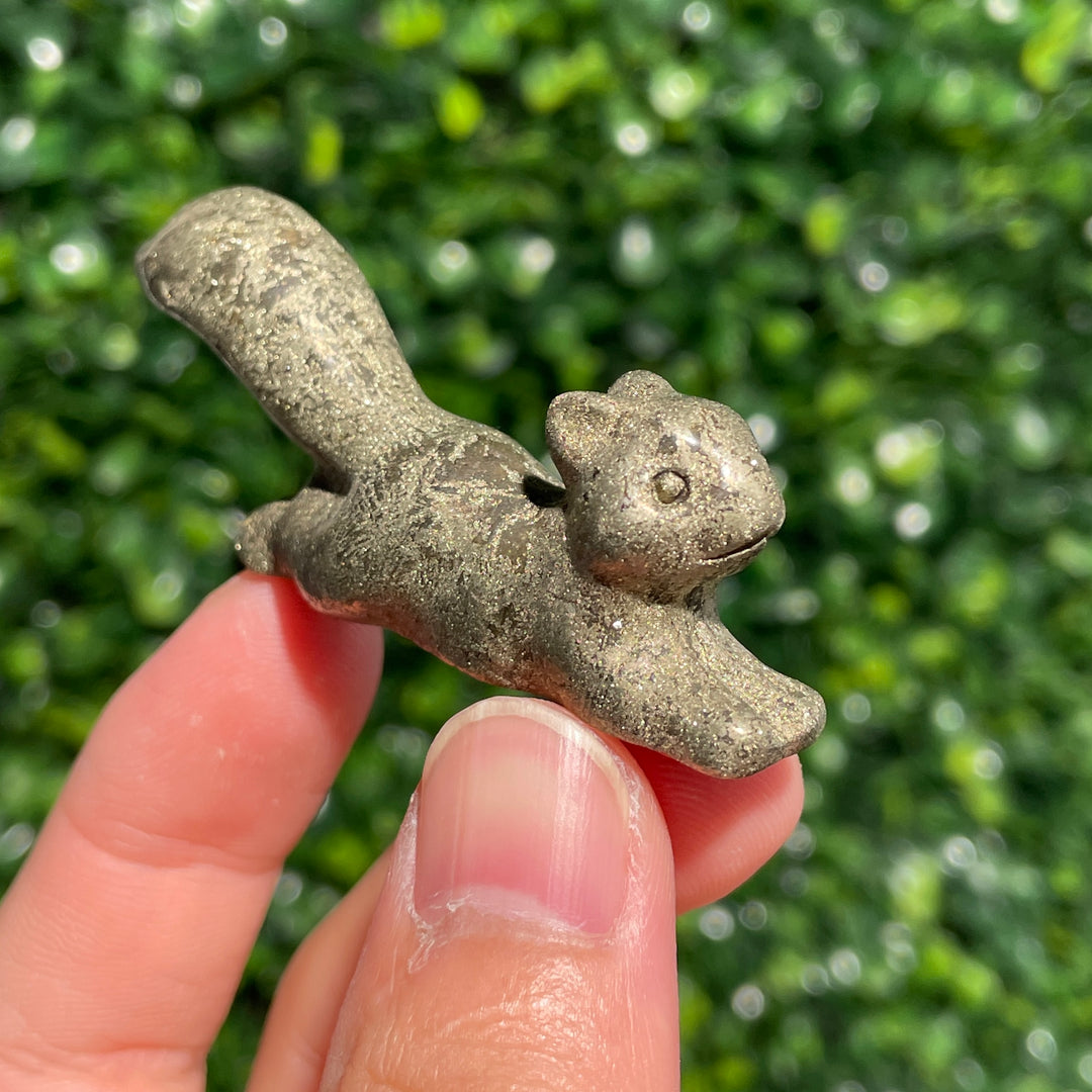 Pyrite Squirrel
