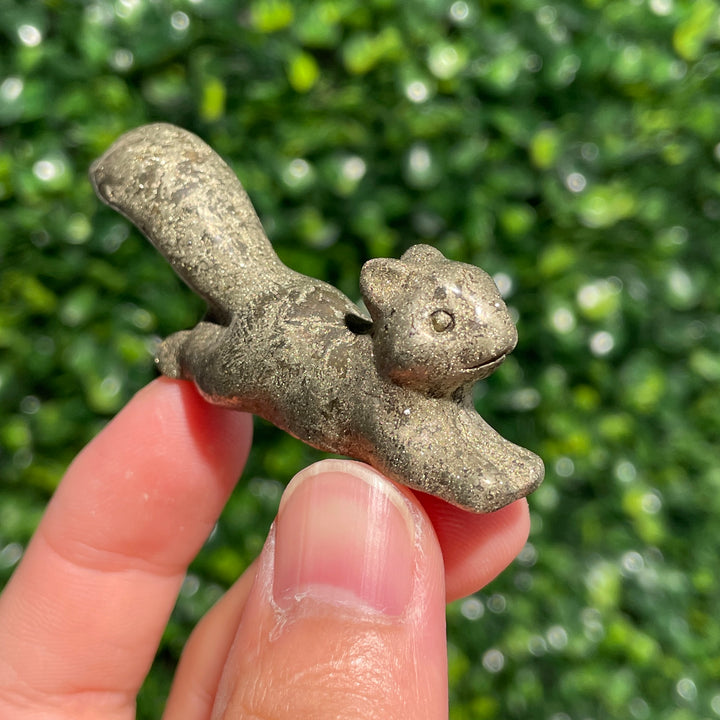 Pyrite Squirrel