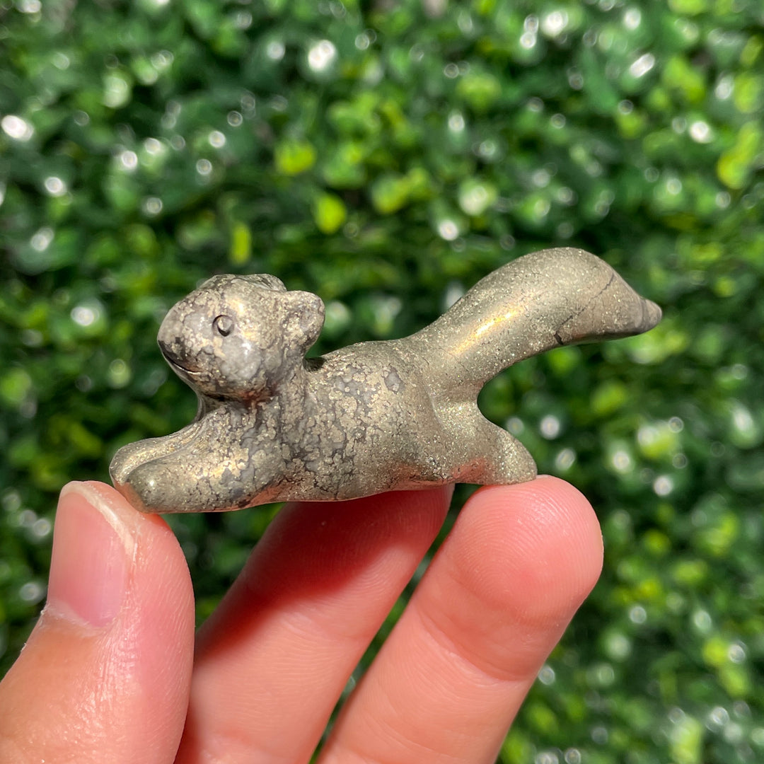 Pyrite Squirrel