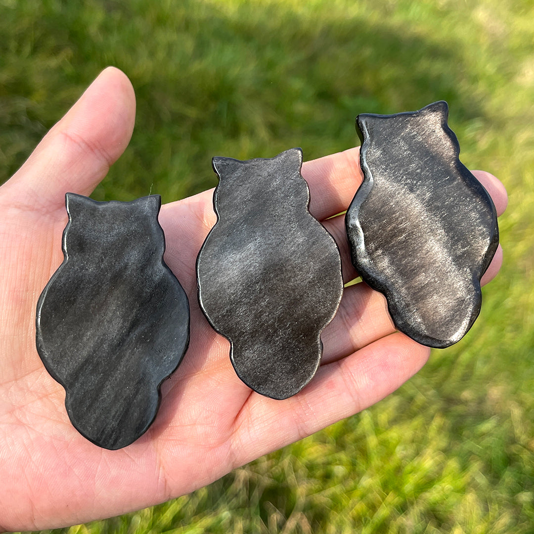 Natural Silver Obsidian Owl With Skull